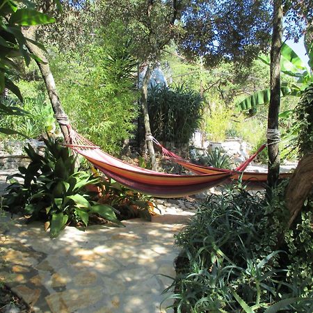 Relax Tiny Villas 40 Meters Of The Beach Zrnovo Екстер'єр фото
