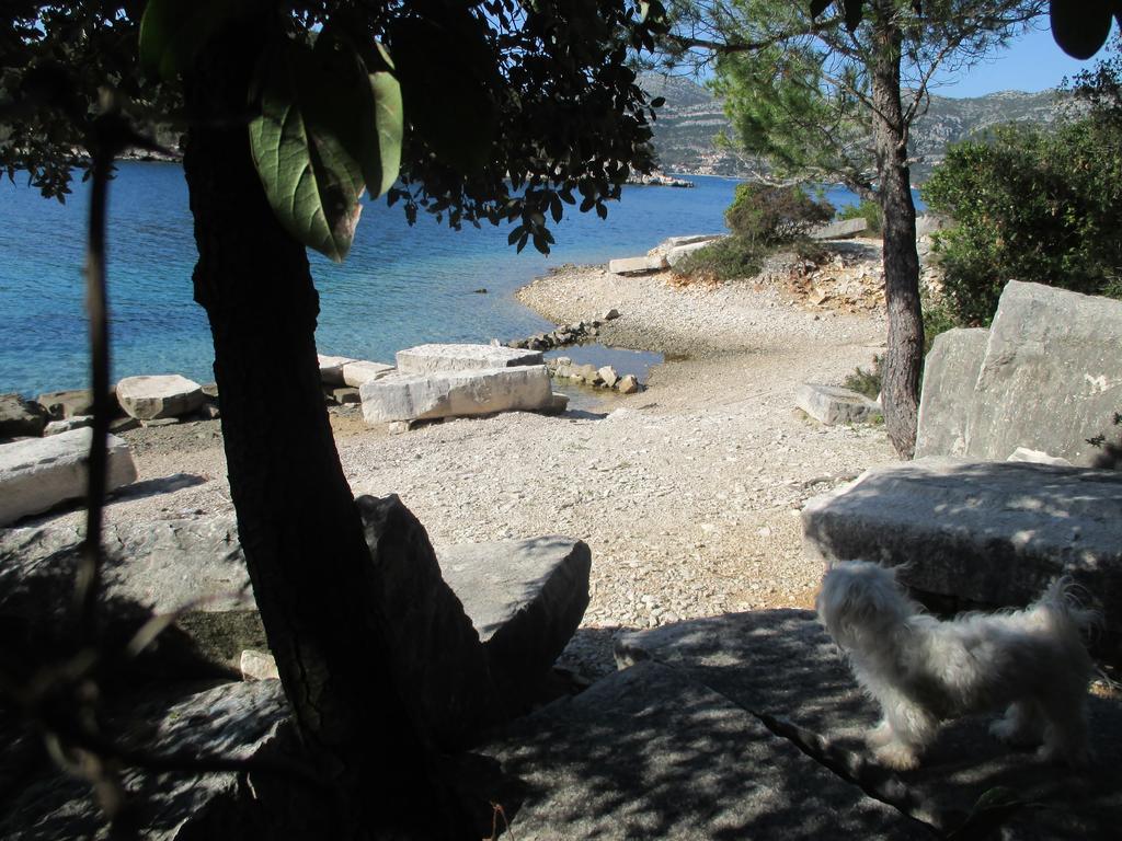 Relax Tiny Villas 40 Meters Of The Beach Zrnovo Екстер'єр фото